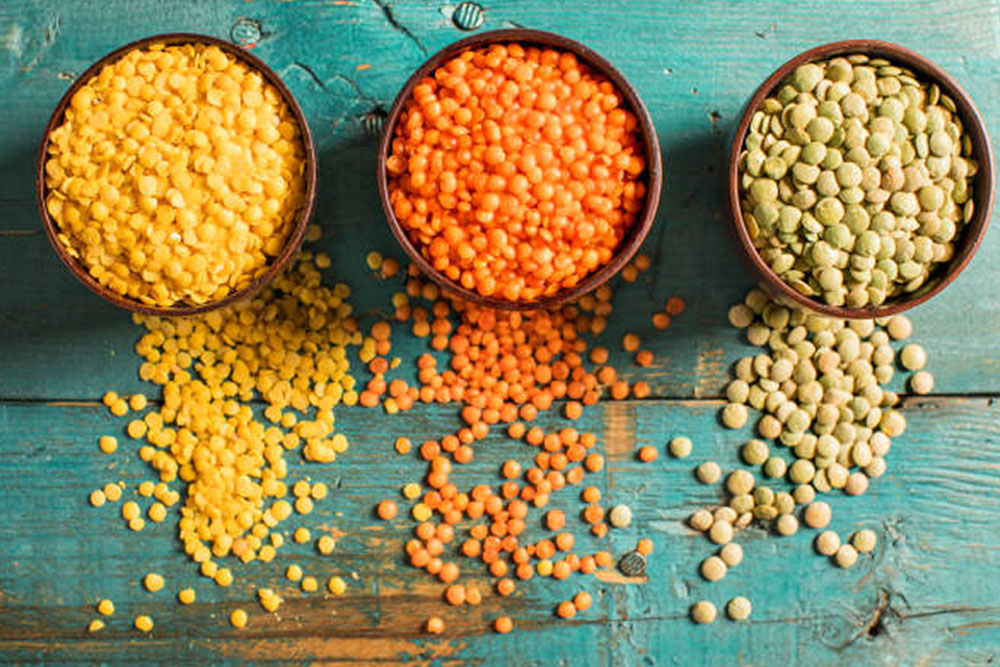 Lentils Importer & Exporter